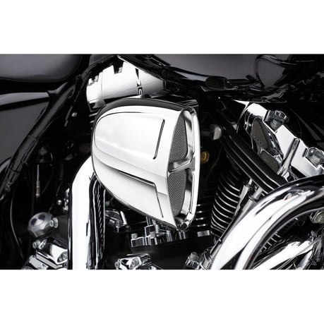 Cobra, PowrFlo intake system. Chrome