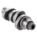 979363 Andrews, M8 camshaft .554" valve lift
